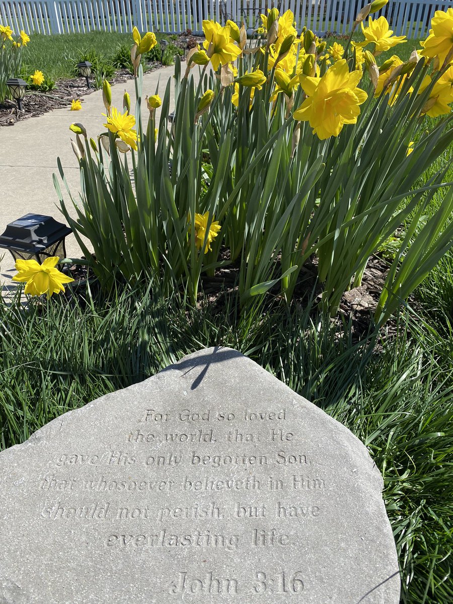 SaraForMissouri's tweet photo. “He himself bore our sins in his body on the cross, so that we might die to sins and live for righteousness; ‘by his wounds you have been healed.’” - 1 Peter 2:24 #GoodFriday #SundayIsOnTheWay ❤️🙏🏻✝️ https://t.co/xxlZoVxOtj