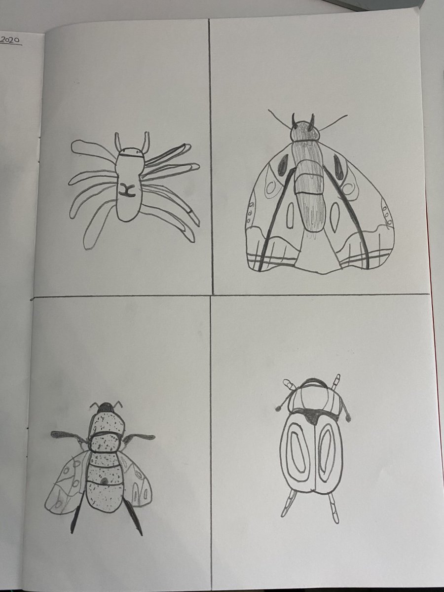 Amaia_Movie's tweet photo. These Year 8 students have worked hard to create these skilful linear drawings. #Year8Projects #InsectDrawings https://t.co/3123h6QZC8