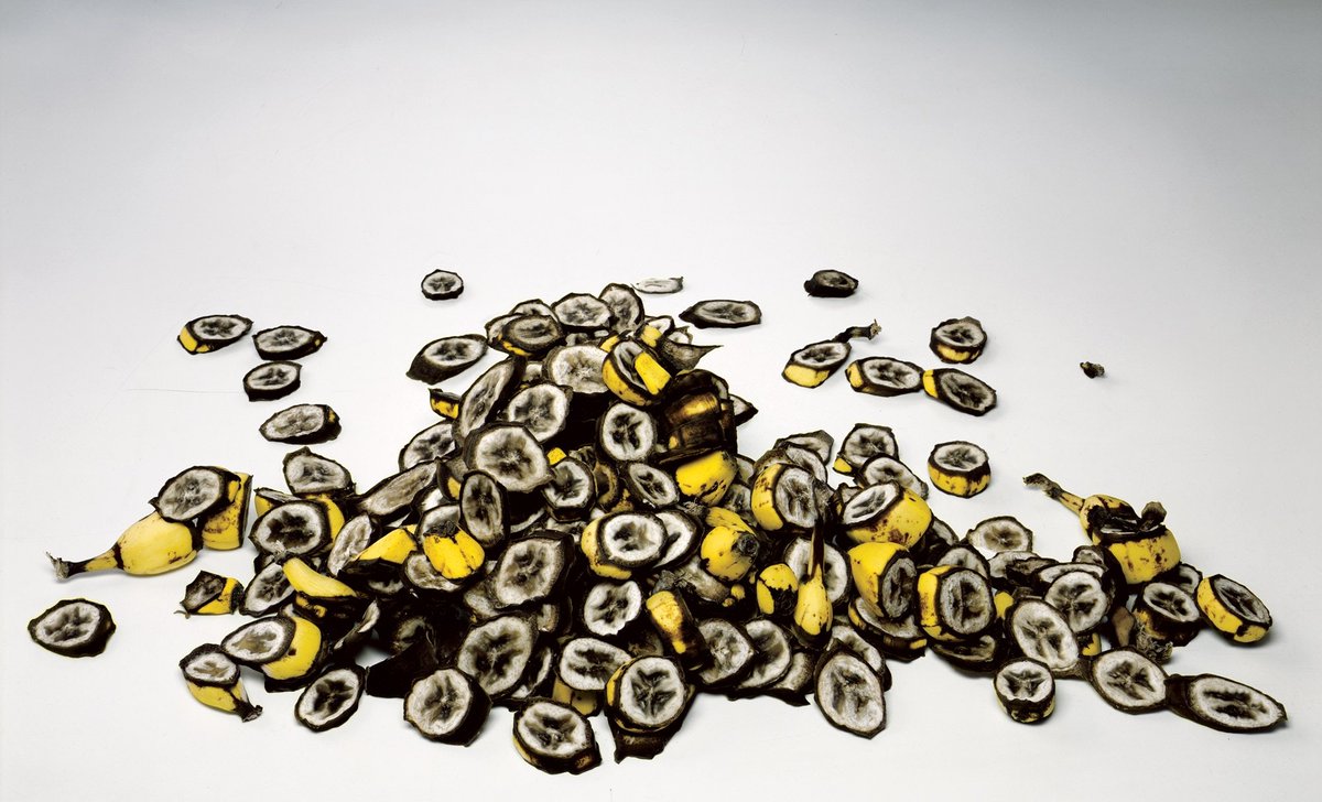 Irving PennSmall Cuttings of Bananas, New York, 2008The last Irving Penn photograph published by Vogue, for the August 2009 issue. Penn died in October of that year.