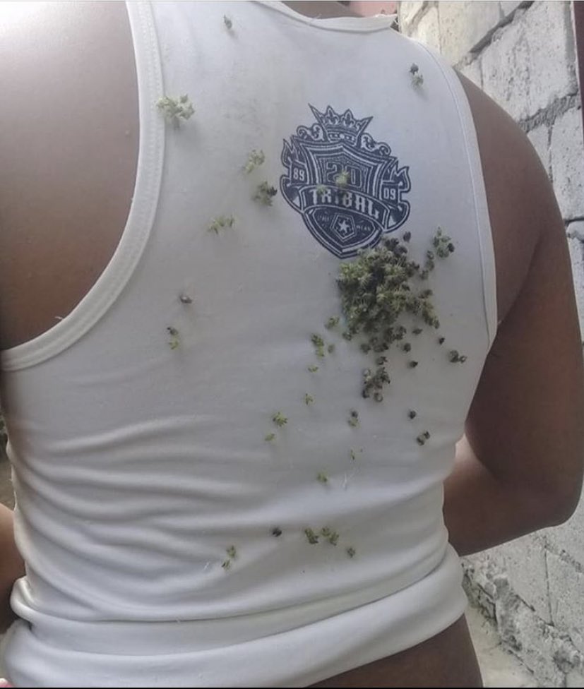 MotionLately's tweet photo. What y’all call these ? We call em stickapurls 🤣🤣 https://t.co/GwtfVbzJMx