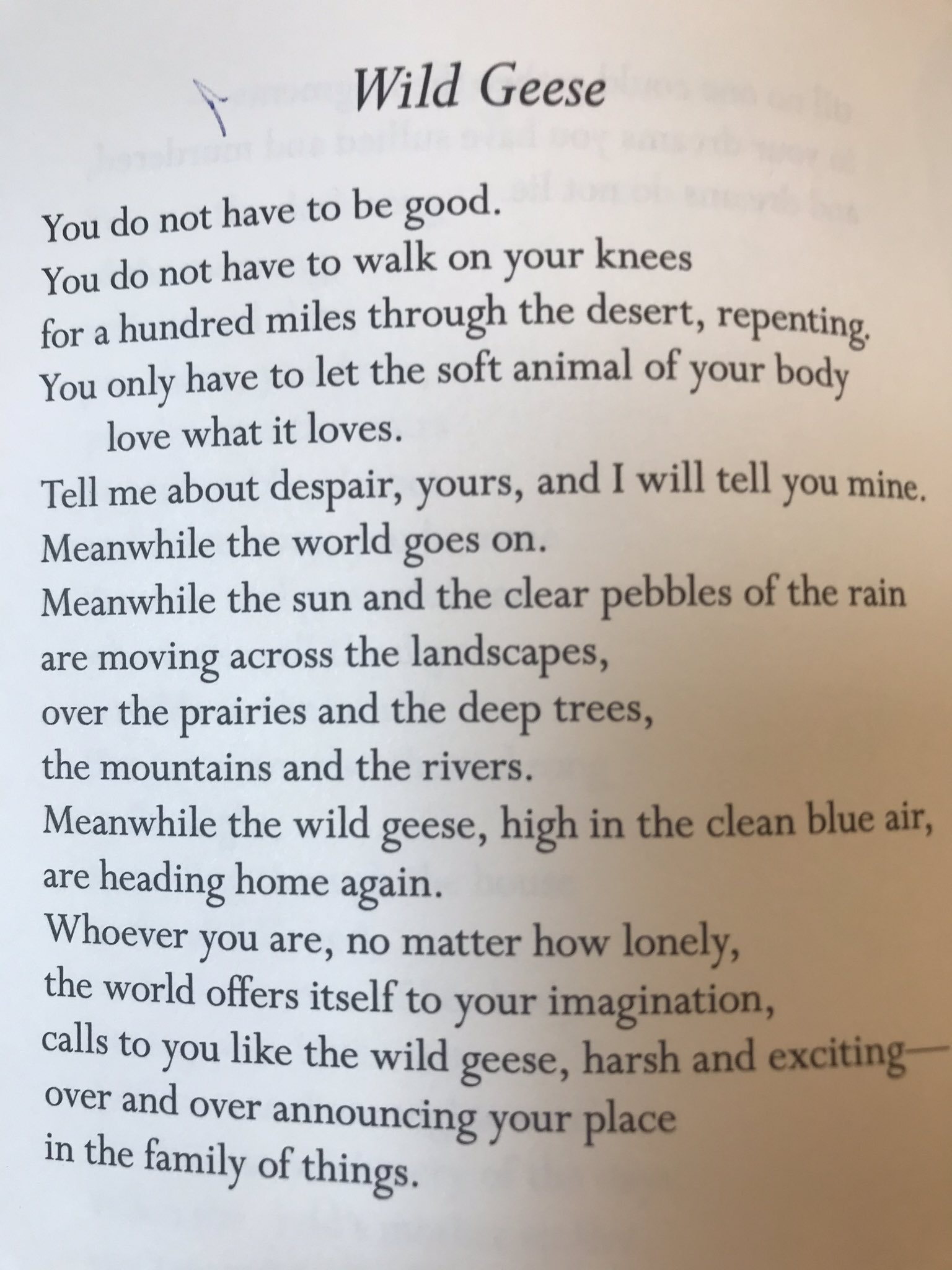 Wild Geese Poem Mary Oliver Online sukan.co.in
