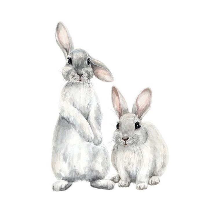 maineventfun's tweet photo. Wishing everyone a very happy Easter weekend, from our team to yours. We hope you are staying safe, healthy, and still fitting some fun into those days! https://t.co/GCny9shwtc