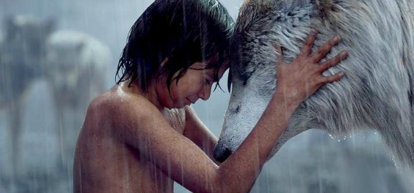 NewsAddaa's tweet photo. Mowgli Annoyed everyone Due to Disturbances https://t.co/hhVBeKQcB1 https://t.co/jtfJSJA8f1