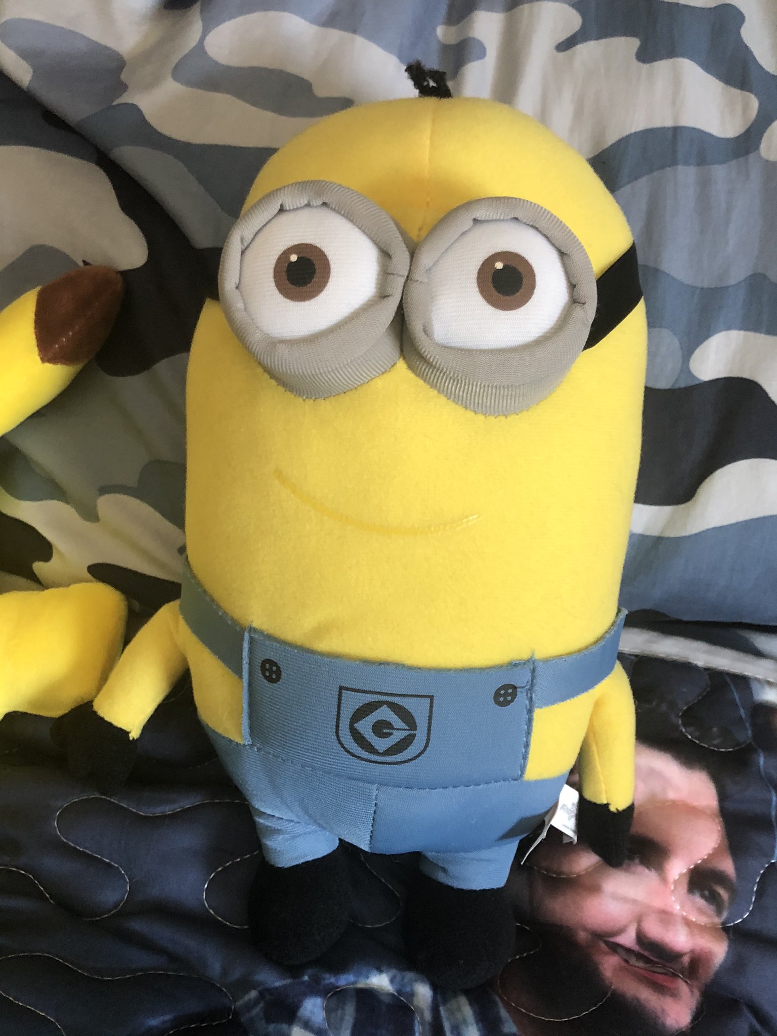 Minion Animated Dogs