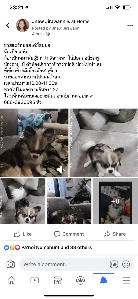 itawwwwwkon's tweet photo. รบกวนช่วยกันหน่อยนะคะ
น้องหายไป���ันที่10/4/20
เวลา10-11โมง ที่ ซ.รามอินทรา27
ใครพบเห็นรบกวนแจ้งกลับทีนะคะ
@js100radio 
#หมาหาย #หมาหลง #ตามหาหมา #ทวิตดีคนรีน้อย #ตามหา #ตามหาเจ้าของหมา https://t.co/HbsDhcBcJP