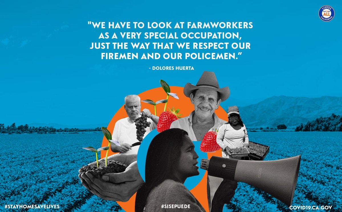 Dolores Huerta has worked her entire life standing up for the rights of Farmworkers in California. On #DoloresHuertaDay, let’s follow her example and honor those who continue to work and keep us fed and safe. 🙏🏽#SiSePuede #StayHomeSaveLives