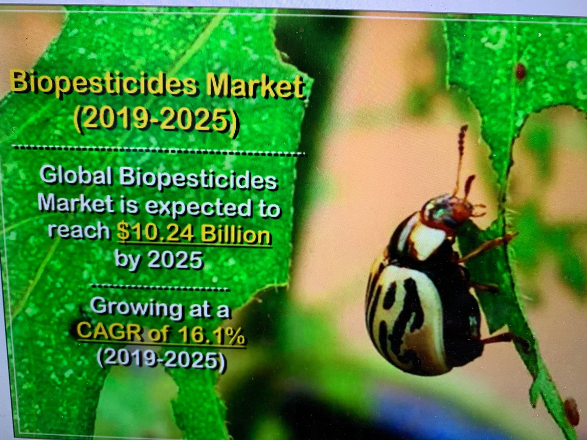 Biopesticides: Yea or Nay?

producer.com/2020/04/promis… #westcdnag #cdnag