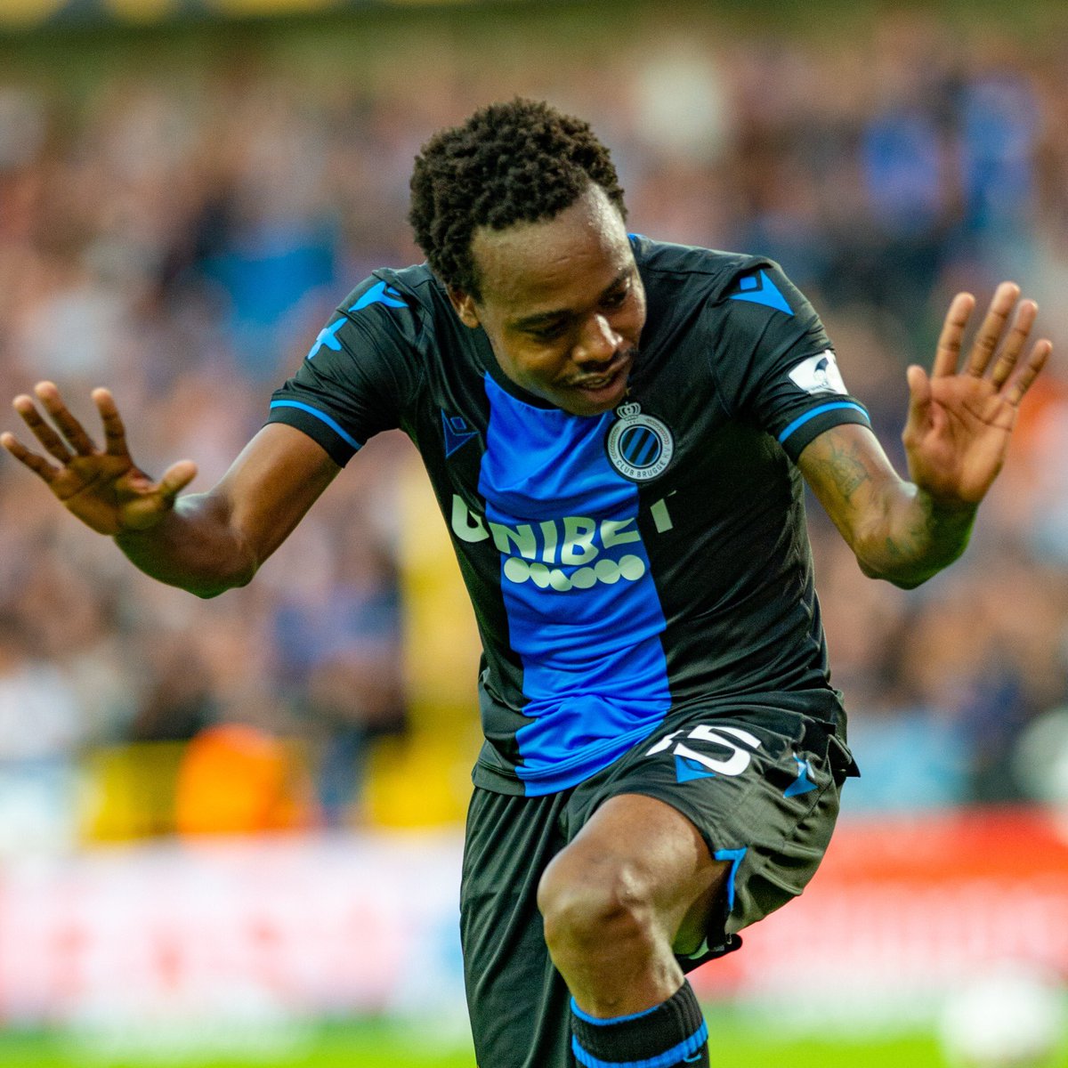 ClubBrugge's tweet photo. How much love for our lion? 🇿🇦 🦁 #StayHomeWithClub https://t.co/kfGoxlOHLH