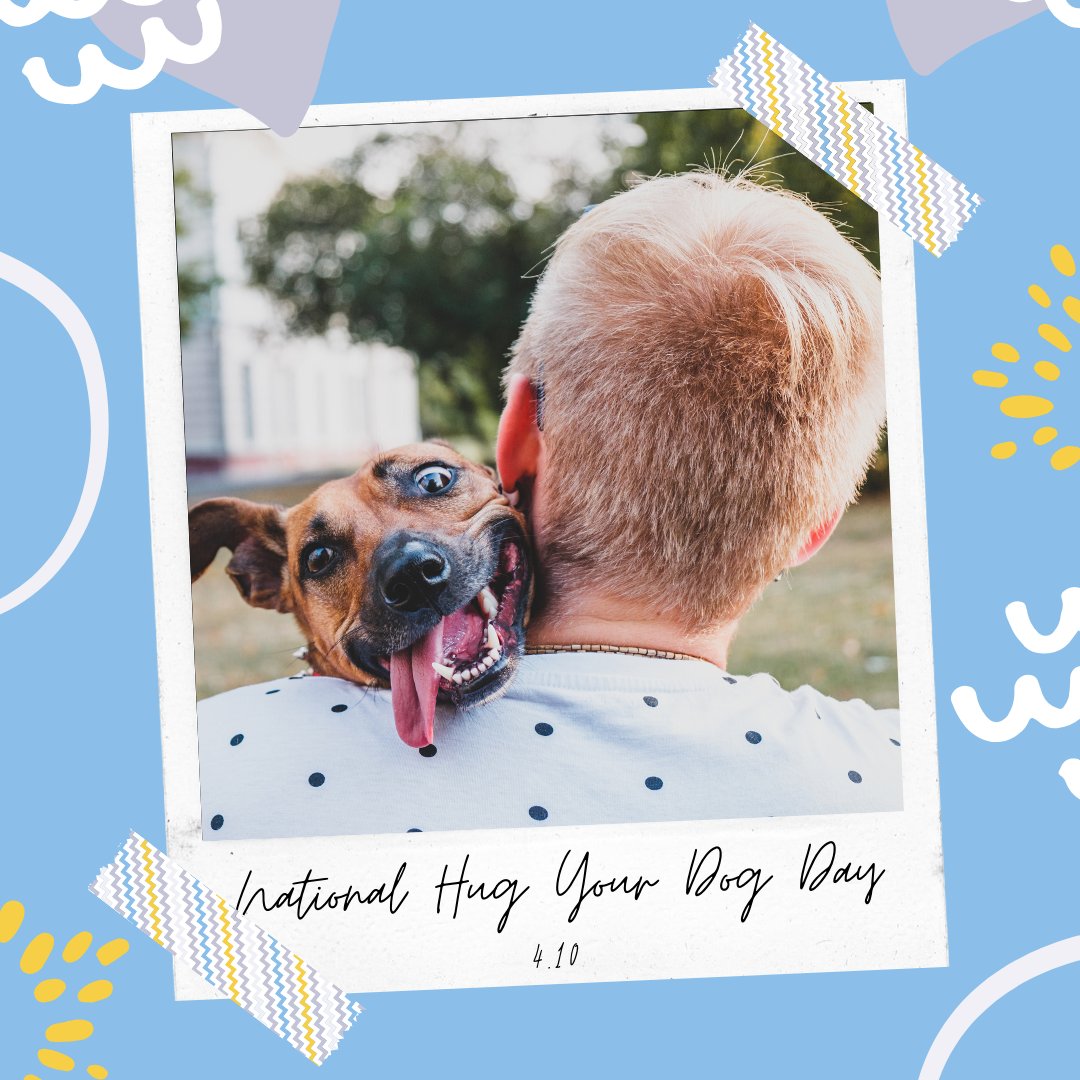Did you know it's #NationalHugYourDog Day? Show all those good boys &amp; girls some love today! 💙🐶