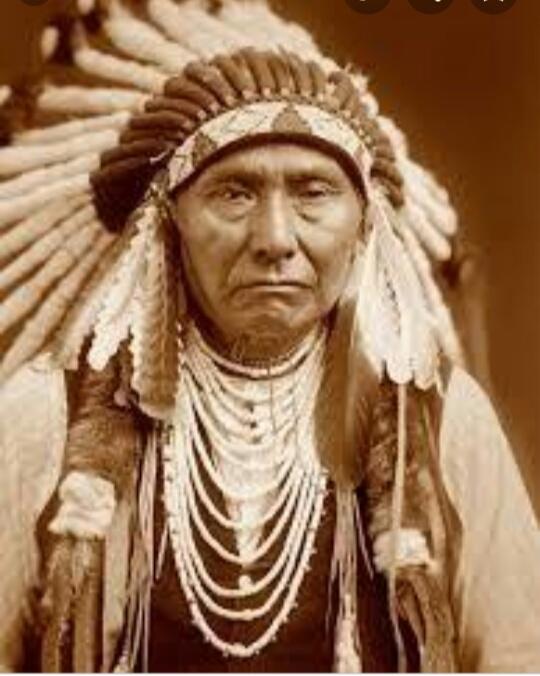 امریکا کے اصل مالک Red Indians تھے۔۔۔۔جو سب سے پہلے امریکا آے۔۔۔اور وہاں مختلف جگہوں پر آباد ہوئے۔۔۔انکے مشہور قبائل میں "شیان" کمینچی" "اپیچی" اور "بگ فٹ" شامل تھے۔۔۔لہٰذا یہ سراسر جھوٹ ہے کہ کولمبس نے امریکا دریافت کیا۔۔۔(جاری ہے)R.Indians 