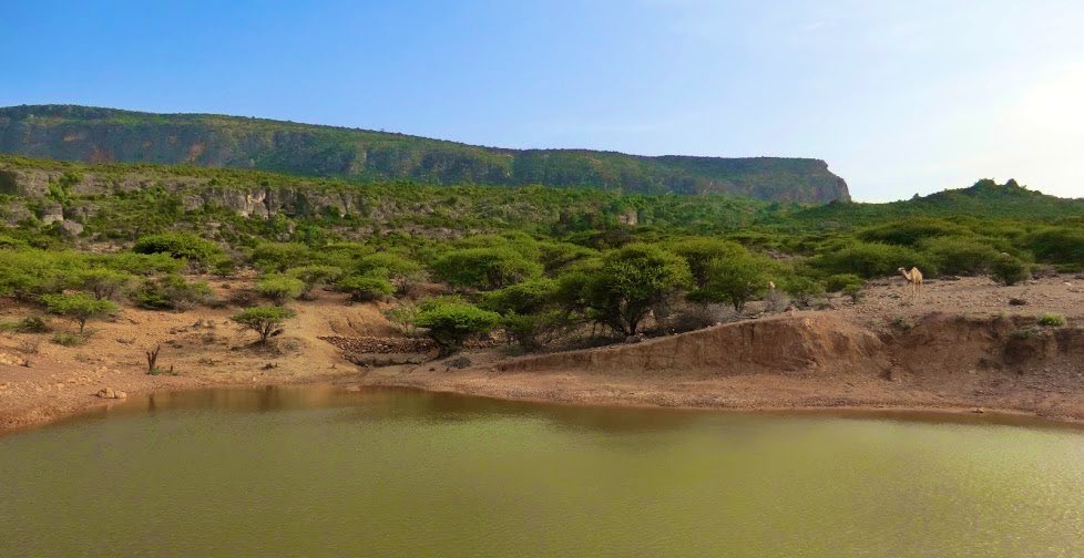 Welcome to the Sanaag region of northern  #Somalia where there’s approximately 1,000 plant species.The highest point, Shimbiris mountain, is 2,450 meter above sea level. #Somalia  #VisitSomalia