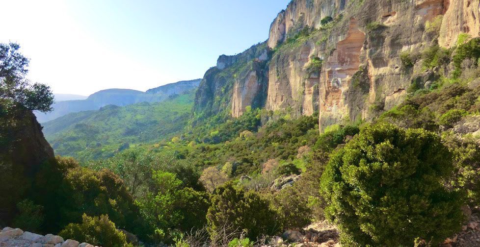 Welcome to the Sanaag region of northern  #Somalia where there’s approximately 1,000 plant species.The highest point, Shimbiris mountain, is 2,450 meter above sea level. #Somalia  #VisitSomalia