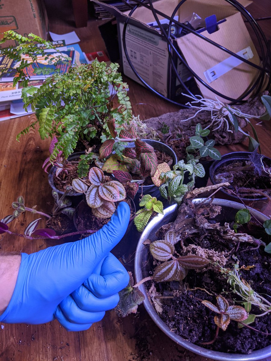 Arik Hartmann tweet media