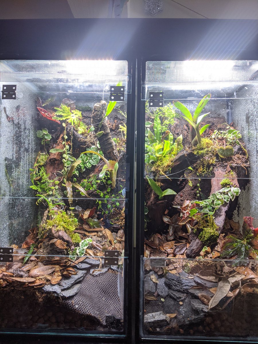 Arik Hartmann tweet media