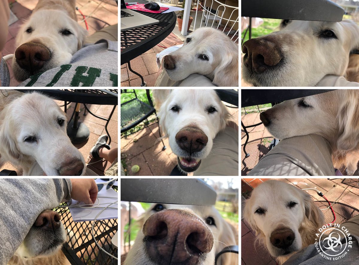 Anybody else have an office mate who always pops in and keeps you from getting any real work done? #DoingMyPartCO