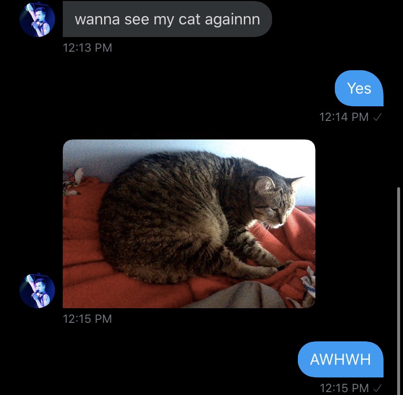 trying to distract me with her furry feline i am devastated
