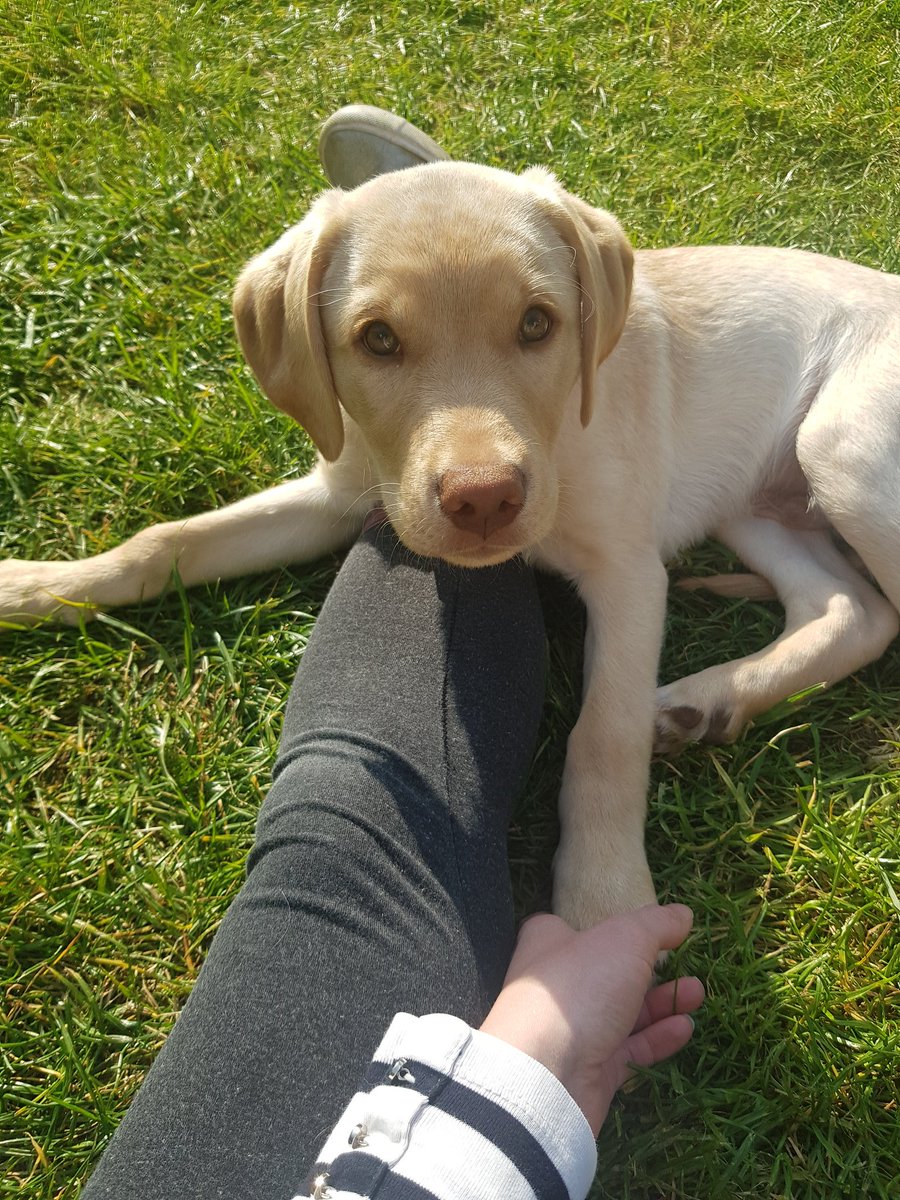 Natalie Robertson tweet media