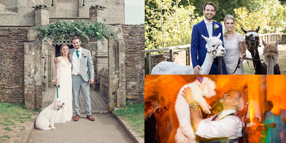 We love welcoming animals to our #wedding #venues

#weddingwednesday

📷 <a href="/JRaphaelPhoto/">Jessica Raphael</a>, <a href="/JeffOliverPhoto/">Jeff Oliver</a> , <a href="/binkynixon/">Binky Nixon</a>