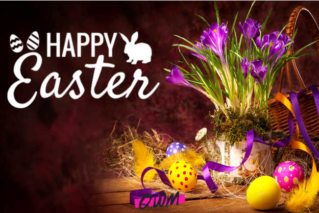BruecherF's tweet photo. Today we're closing early to give our workers the break they truly deserve. As essential workers, they have been working tirelessly to help our clients to be able to keep safe in their homes. We are grateful for having this great team and wish them and all of you a Happy Easter! https://t.co/B2lMUVmdbK