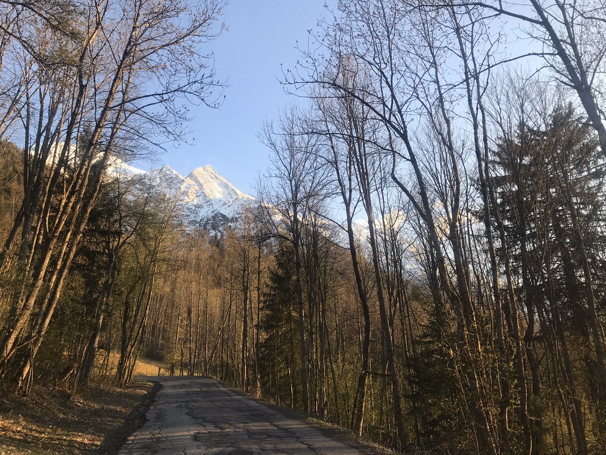 Bethahealey's tweet photo. Peaceful evening run in Cham this eve #exercise #houraday https://t.co/lYNozJsJTB