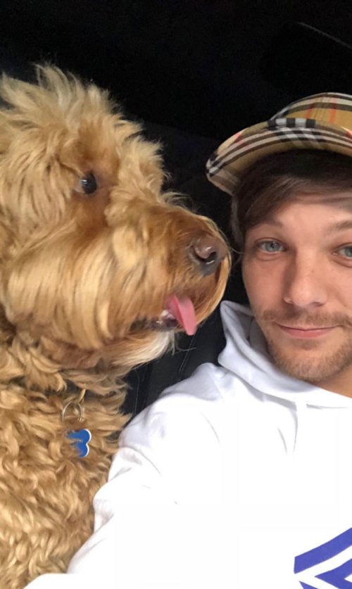 I Miss Louis (×7)