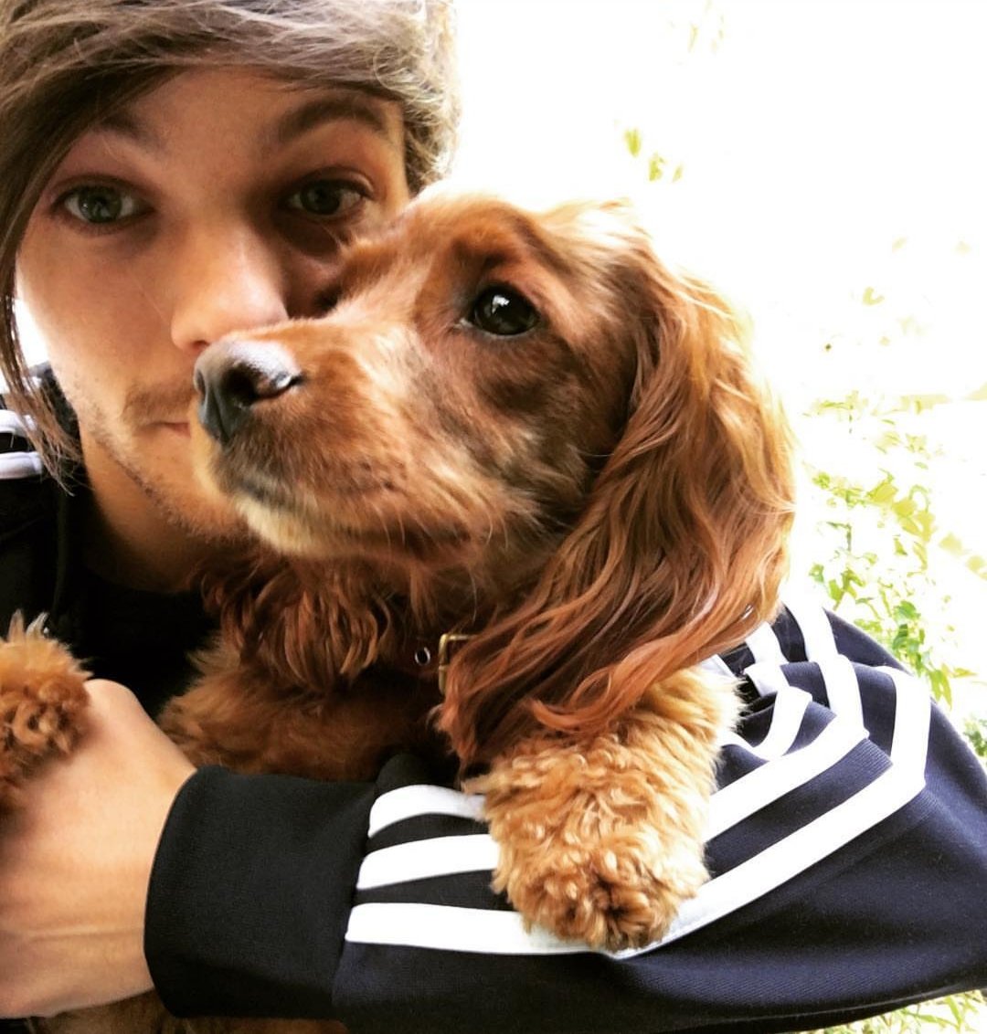 I Miss Louis (×7)
