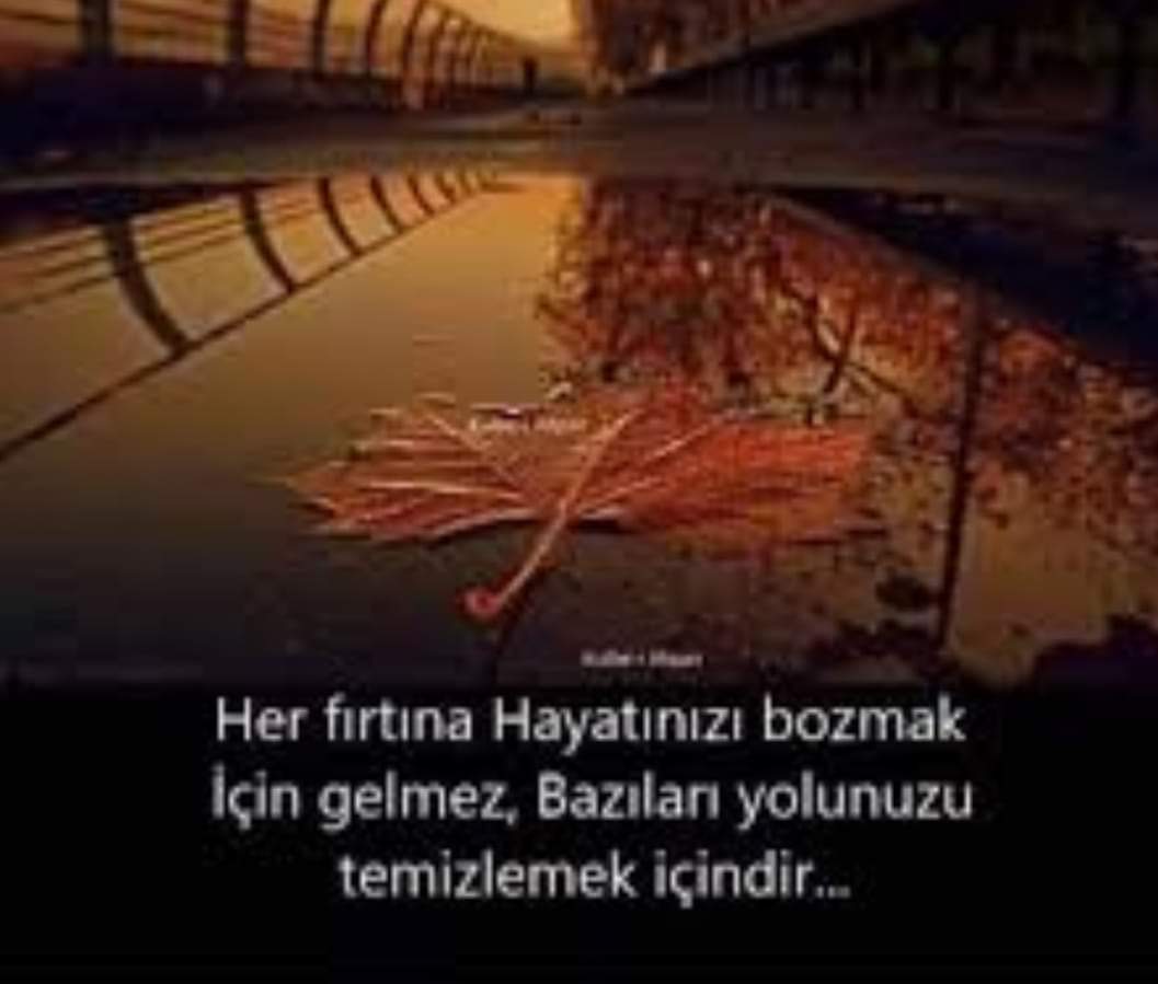 NsevdaC's tweet photo. https://t.co/eNd3xfhbSk