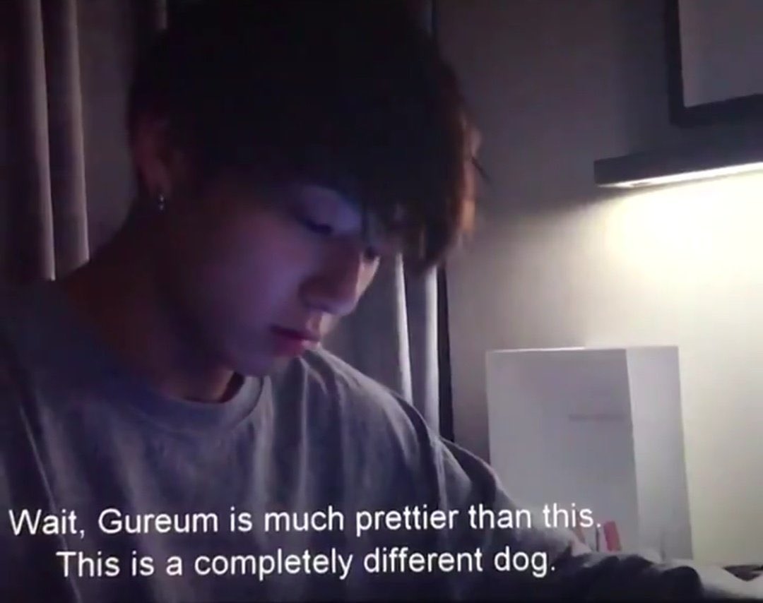 jungkook’s dog, gureum was a street dog he and his family rescued and have been taking care of since then, he cares so much about it, an angel :(