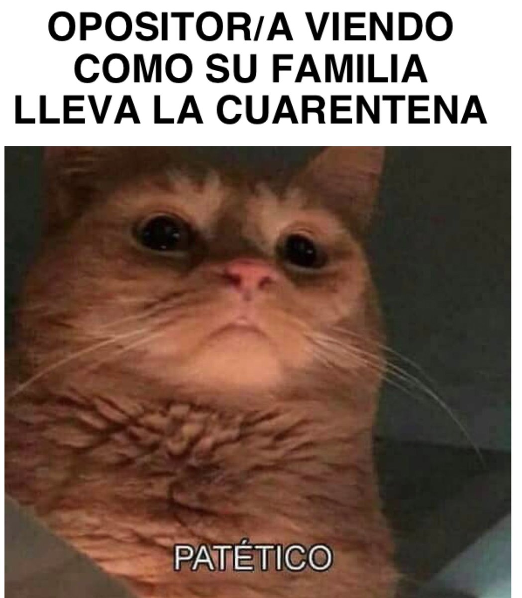 OpoLucha's tweet photo. Nosotros tenemos nivel experto en no tener vida social y no salir del #opozulo 😂😂 https://t.co/RMQL5fACqe