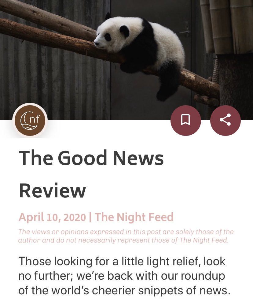 The Night Feed App tweet media