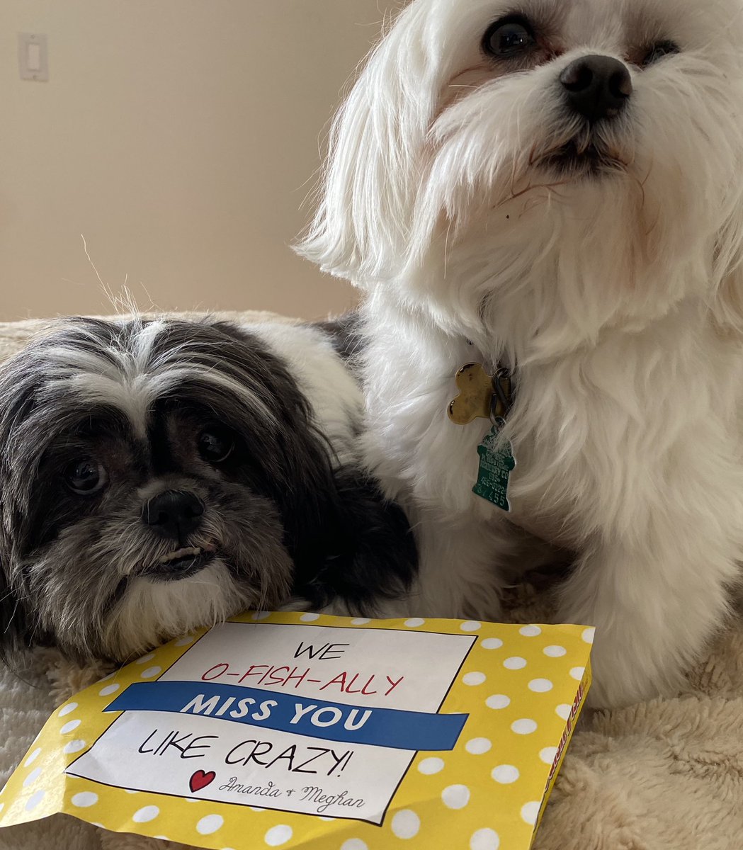 TWagnerCreates's tweet photo. OH MY...I truly have the MOST amazing bosses❣️ YOU guys truly ROCK... Thank you ...just so touched ❣️@TWagnerCreates @VV_Voyagers #ARTsmART #WeGotThis @amandacohn9 @AP_SharpVV https://t.co/ZCZQ4YEeZ5