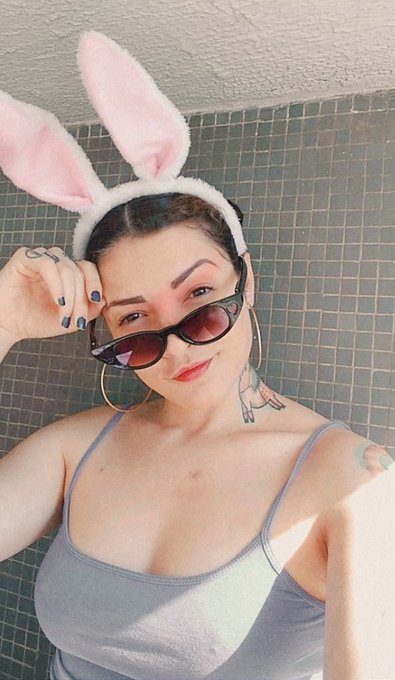 Eu tenho as orelhas e voc&ecirc; tem a cenoura. 🐰🥕 https://t.co/SQLDbPY3pk