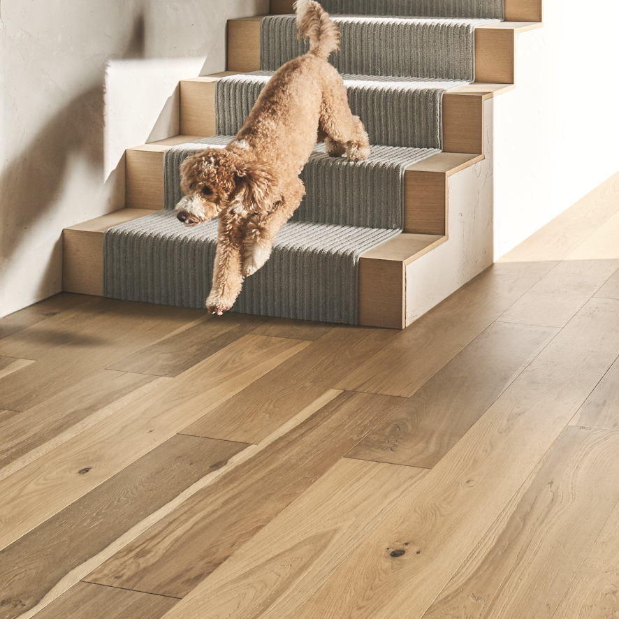 Worried about your pets snagging and staining your carpet? Anderson Tuftex offers a 10-year loop warranty and features STAINMASTER® PetProtect® carpet. | Featured: Wizard of Paws in Glass Tile and Natural Timbers Smooth in Willow