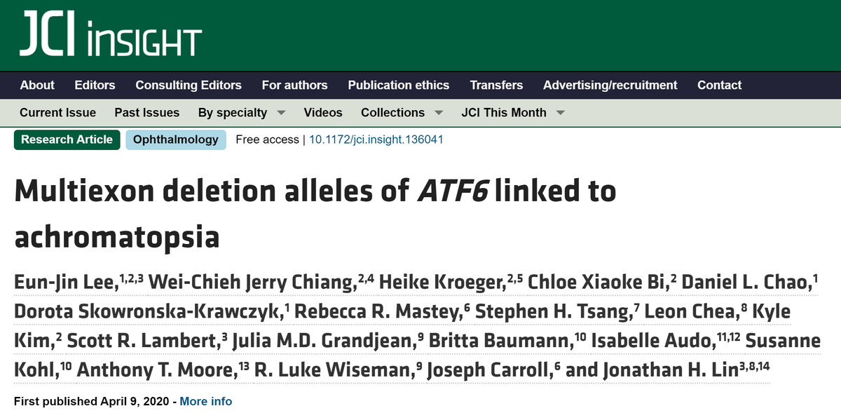 DrDorotaSK's tweet image. I had a chance to collaborate on this great project with Lin lab. This is continuation of the big project in their lab to understand the #fovea formation and #achromatopsia mechnism. See by yourself:  insight.jci.org/articles/view/…