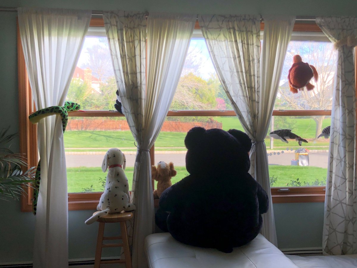 Hello South Brunswick!! Please be sure to participate in the #sbsdwindowsafari and place a stuffed animal in your window..
Please click below for more details:docs.google.com/document/d/1OQ…

#sbpdchat 
<a href="/SSfeder/">欧洲杯开云体育亚博体育华体会爱游戏乐鱼体育百家乐pc28时时彩广发体育星空体育米兰体育</a> @GoSBVikings <a href="/SoBrunswickPD/">So Brunswick PD</a> <a href="/SBSDBOE/">SBSchools</a>