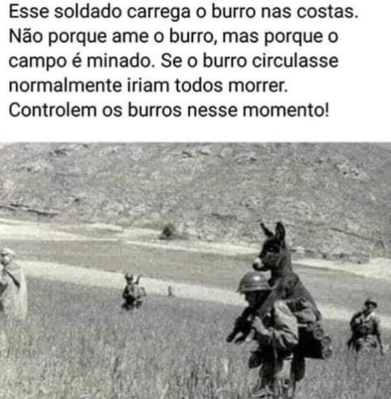 rafacborges's tweet photo. https://t.co/hwCLXczLqA