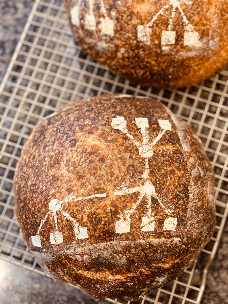 rcfraley's tweet photo. Instructions unclear: Use leaven or laavan? https://t.co/lZ00Yj2zny