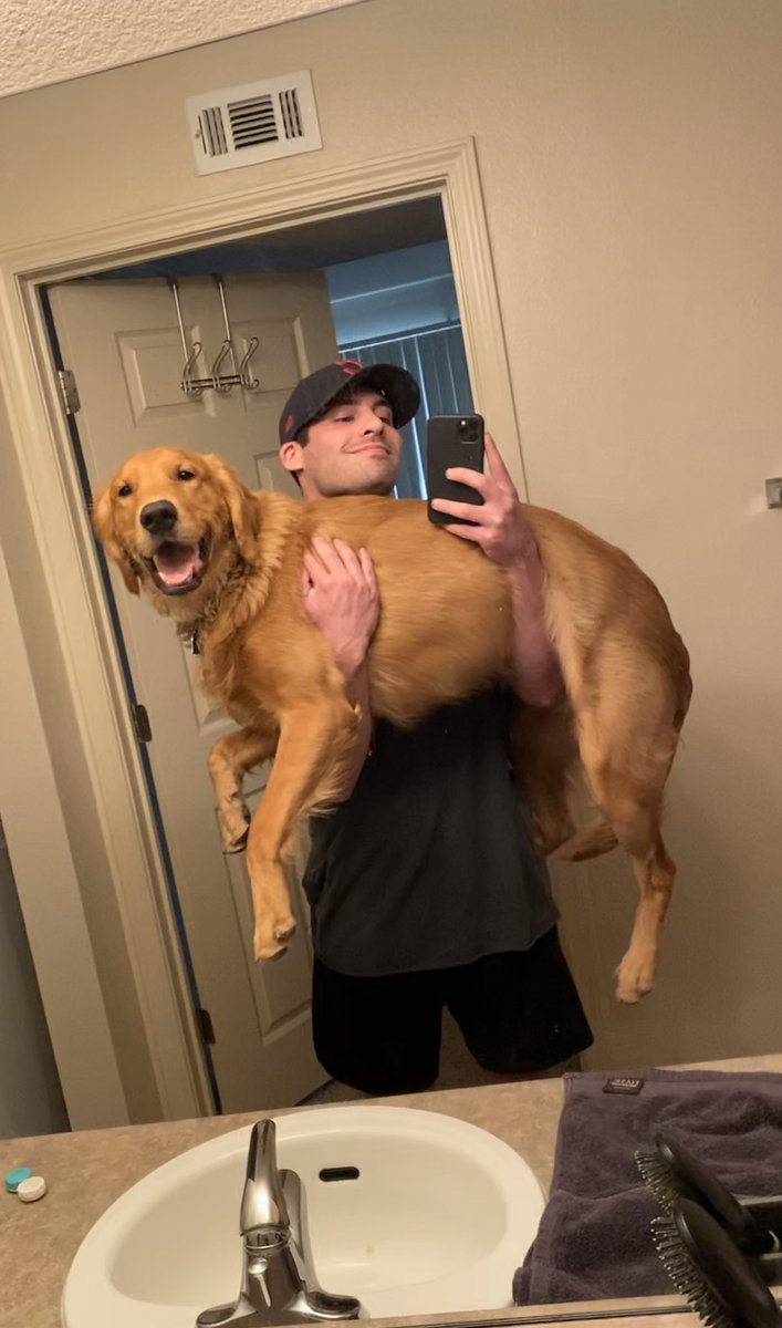 Jace_Chandler's tweet image. GROOT HAS GROWN

September 2019 -&amp;gt; April 2020