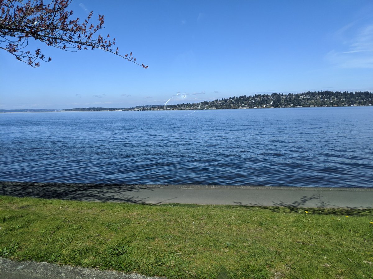 So, it's beautiful in Seattle today. So my husband and decide to take a little drive. In our car, windows up, totally safe. Here's a pic of Lake Washington.