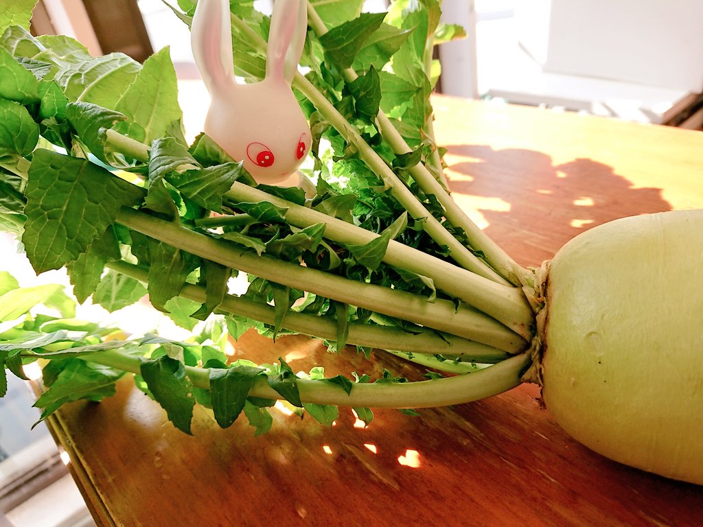 葉付き大根