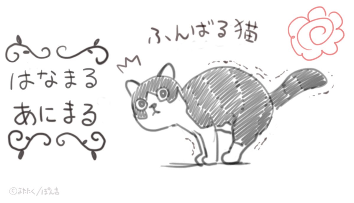ふんばる猫 