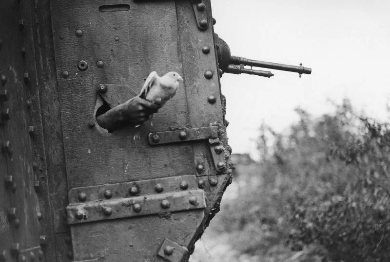 9/ Tanks were invented before truly portable radios so here's a British Mark V tank releasing a carrier pigeon.