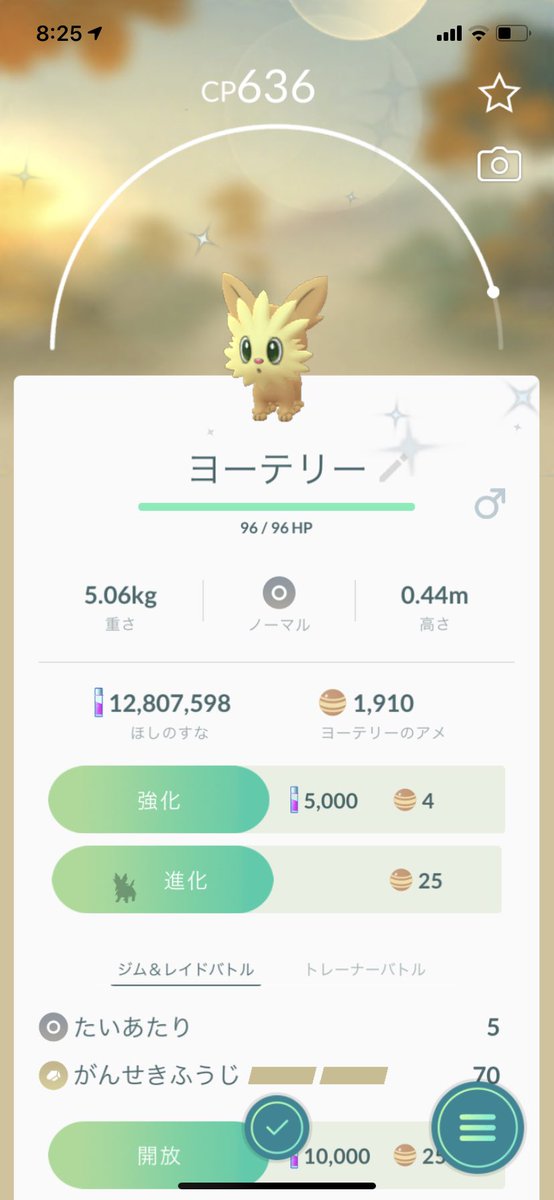 Kiyohiro S 色違いヨーテリーゲットだぜ ポケモンgo ヨーテリー Kiyohiro S 色違いヨーテリーゲットだぜ ポケモンgo ヨーテリー