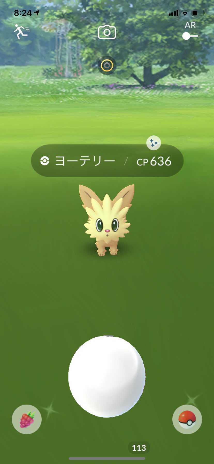 Kiyohiro S 色違いヨーテリーゲットだぜ ポケモンgo ヨーテリー T Co Kir76plckz Twitter