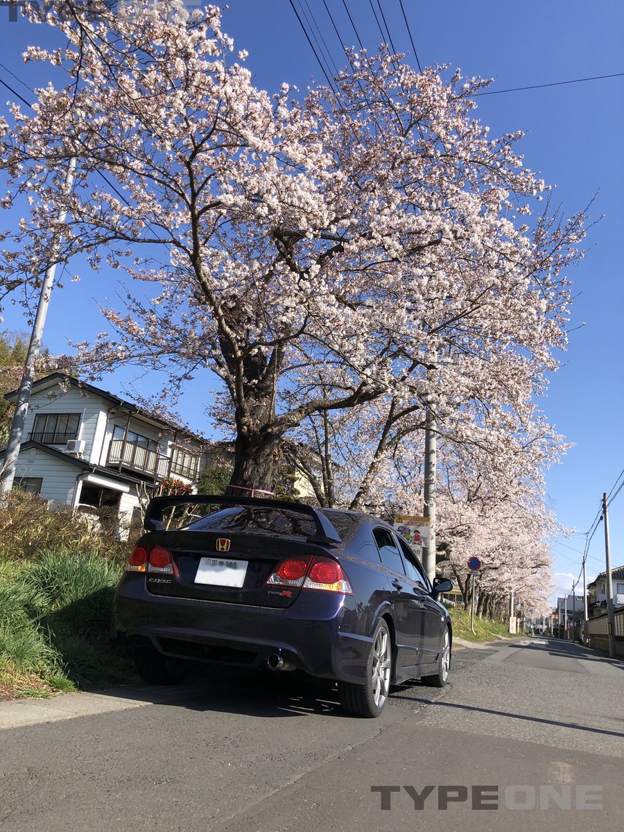 前沢の桜まあまあいい感じです
人が居ないので車通り少ないので写真撮るならおすすめです
前沢は武源家だけじゃないです
是非前沢にたくさん遊びに来てください！！