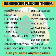 TreyDeHuete's tweet photo. @cm_merlin @ListenHere12 @FlaDems @GovRonDeSantis @SenRickScott @marcorubio @mattgaetz @PamBondi WE SEE ALL YOU fuKKKers
& will vote you out in Nov‼️ #FlipFloridaBlue
How many counties
were hacked? #ElectionInterference2016
How many votes
were not counted?
#ElectionInterference2018
#PalmBeachCounty was shut down b4 recount finished. Mine & my daughter VOTES NOT COUNTED https://t.co/1w1sh0VmCr