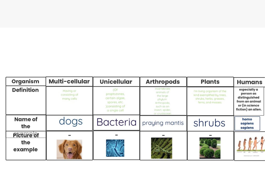 inyourwindow212's tweet photo. Some responses for our 1st @TeamFoldscope assignment ! This is so amazing and exciting 🥳 it goes by the hand of our #Montessori Timeline of Life which the kiddos got to work throughout the school year ! #PICKedu #PICKeduexplorers @PICKeducation @PrakashLab https://t.co/xkWYwGql8F