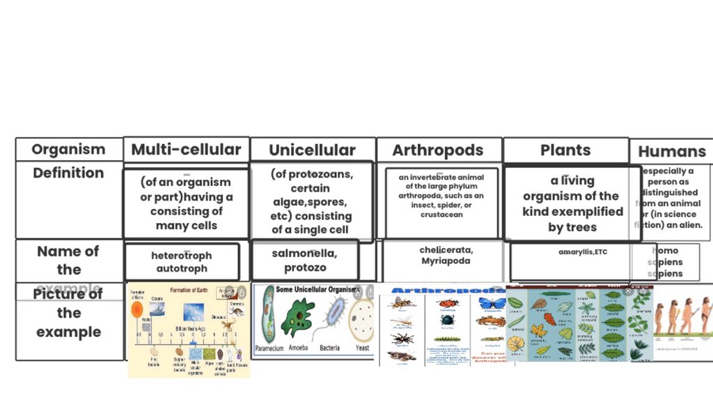 inyourwindow212's tweet photo. Some responses for our 1st @TeamFoldscope assignment ! This is so amazing and exciting 🥳 it goes by the hand of our #Montessori Timeline of Life which the kiddos got to work throughout the school year ! #PICKedu #PICKeduexplorers @PICKeducation @PrakashLab https://t.co/xkWYwGql8F