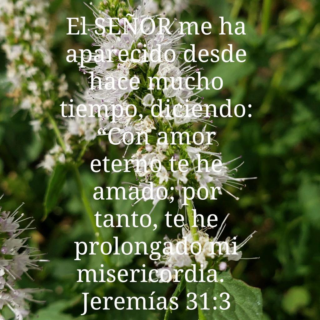 arelis_82's tweet photo. El SEÑOR me ha aparecido desde hace mucho tiempo, diciendo: “Con amor eterno te he amado; por… #DiosAlControl https://t.co/aFoXQ9qKOH
