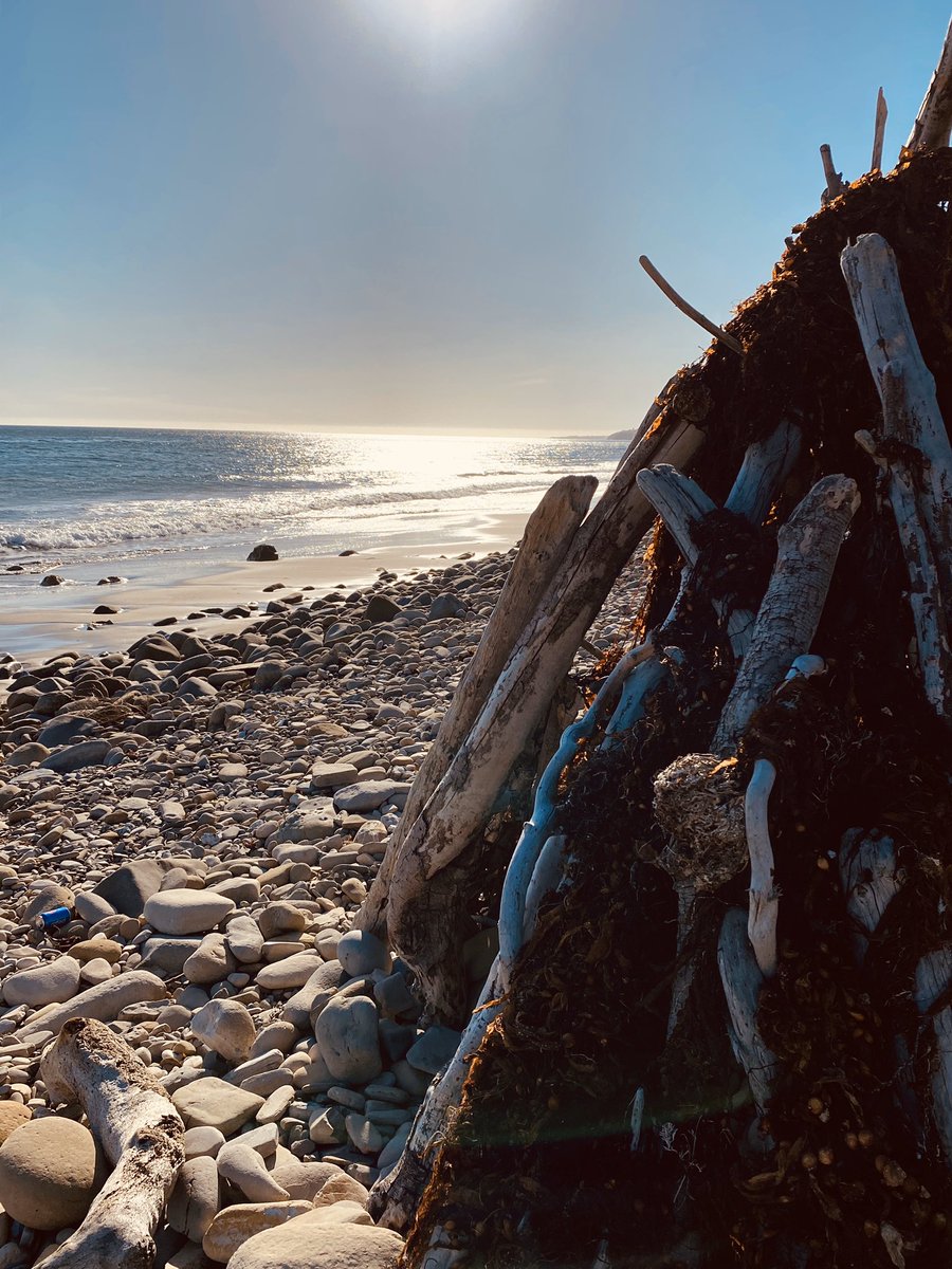 Decas68's tweet image. Viernes de sacar a pasear a la perra... a la perra Cuarentena!! 🤭  
#ViernesSanto #GaviotaBeach #emptybeach